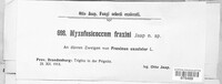 Myxofusicoccum fraxini image